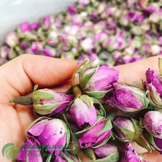 Nụ hoa hồng khô Iran -Trà hoa hồng khô lọ 100g - Thực phẩm tốt cho sức khỏe  và sắc đẹp - Hồng nhạt - Shop VnExpress
