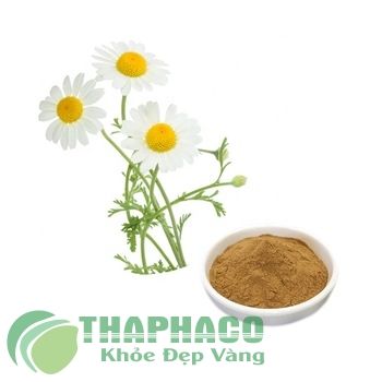 100% Pure Natural Chamomile Extract Powder/chamomile Flower Extract  Apigenin 98% - Buy Apigenin 98%,Chamomile Extract Powder,Chamomile Flower  Extract Product on Alibaba.com
