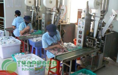 Máy sản xuất trà túi lọc