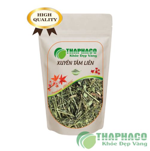 Xuyên Tâm Liên Tại TP.HCM