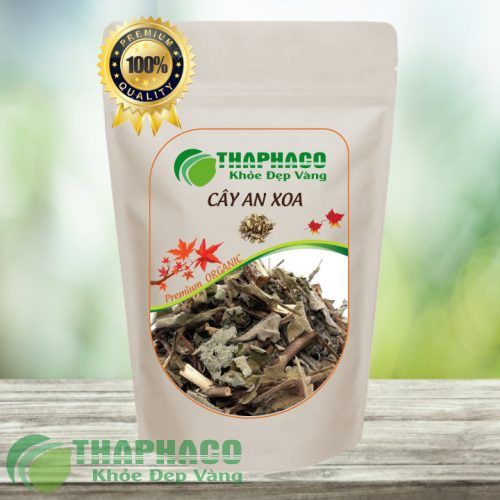 Cây An Xoa Chất Lượng Cao