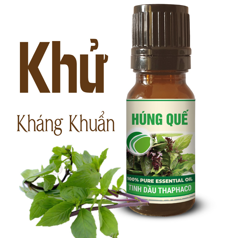 Mua tinh dầu húng quế tại TP.HCM