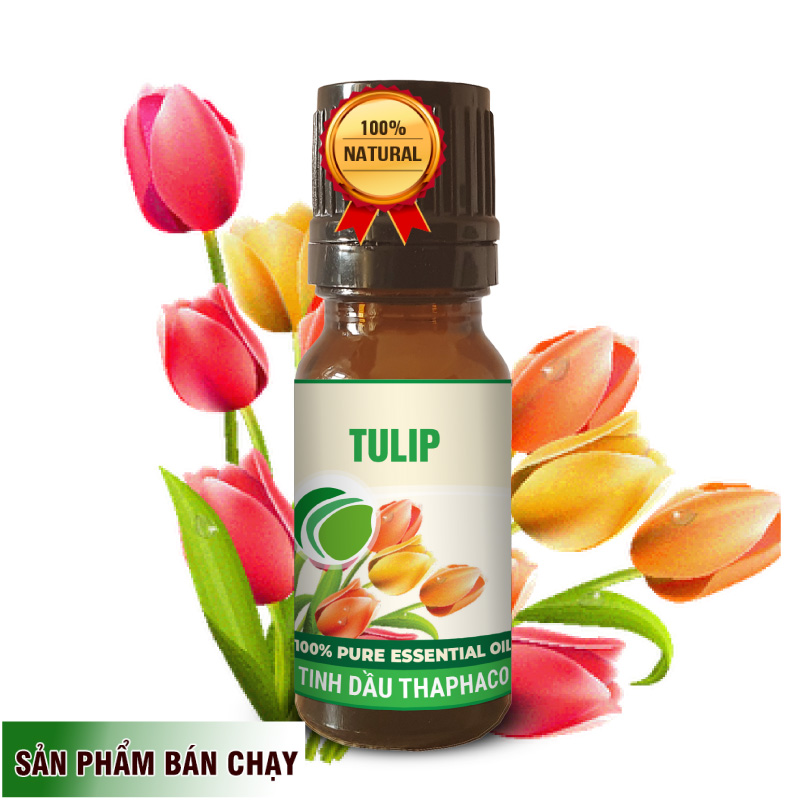 tinh dầu hoa tulip