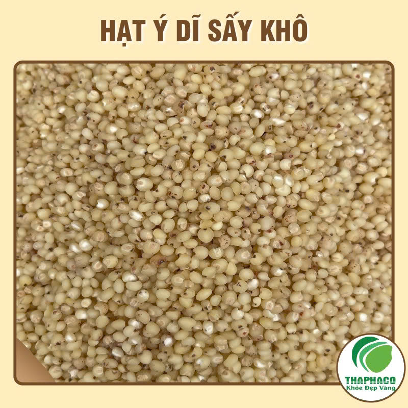 Sỉ hạt ý dĩ nấu nước sâm