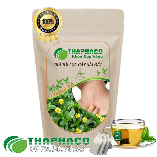 Công dụng của trà túi lọc sài đất Thaphaco