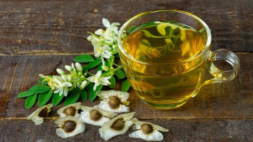 Cách pha trà túi lọc lá chùm ngây tại HCM
