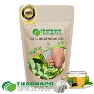 Trà Túi Lọc Lá Muồng Trâu - THAPHACO HCM