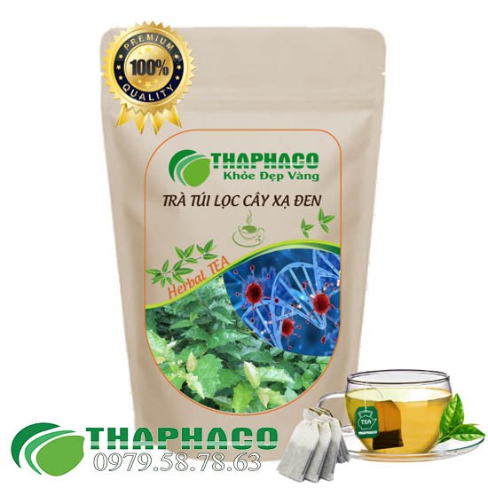 Công dụng của trà túi lọc xạ đen Thaphaco
