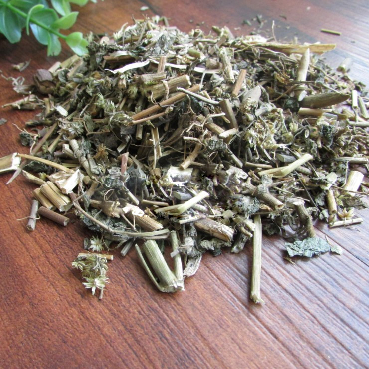 Bài thuốc trị bệnh từ cây cỏ hôi sấy khô tại HCM