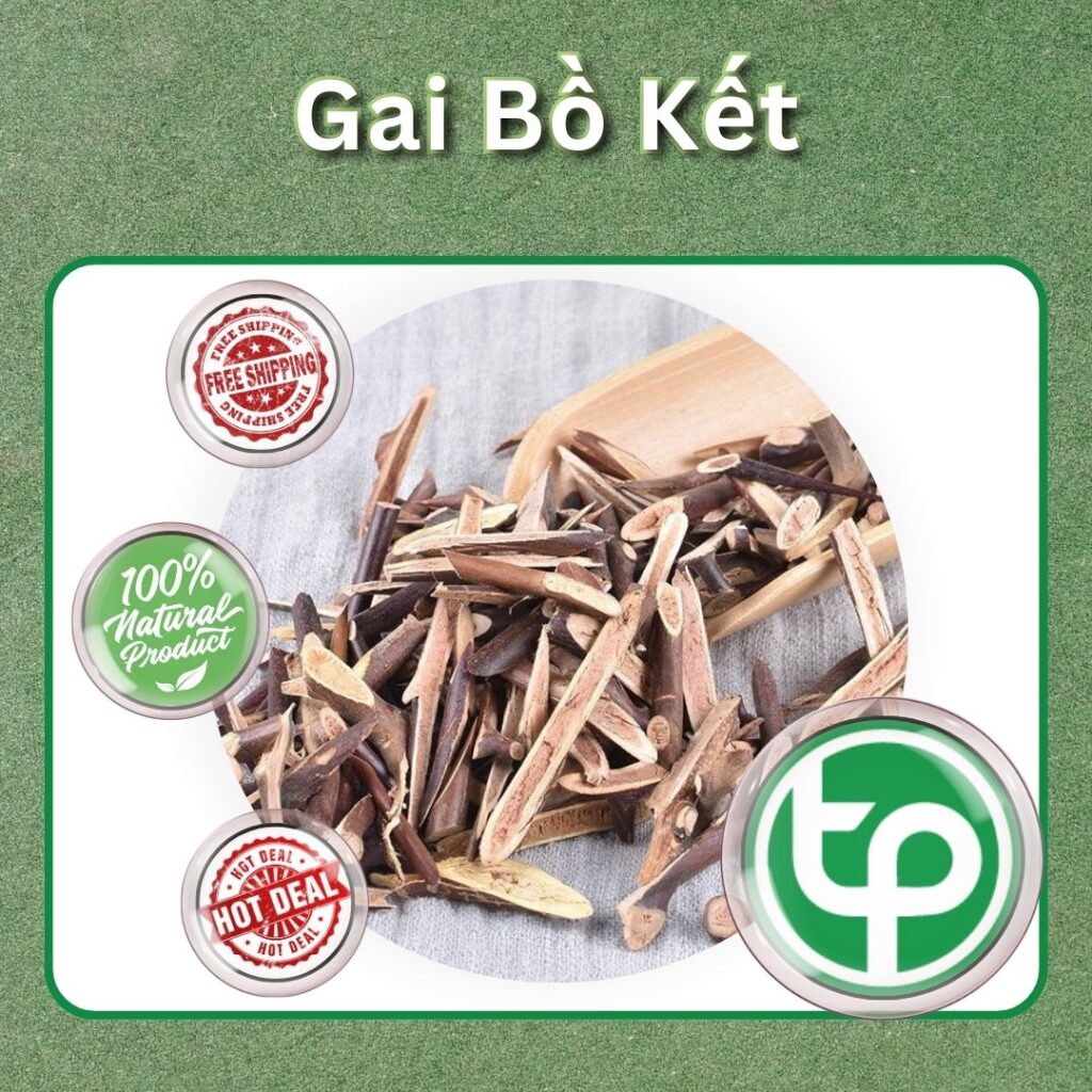 Chỗ bán gai bồ kết khô tại TP.HCM