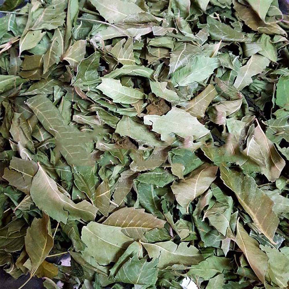 Cách sử dụng lá neem sấy khô tại TP.HCM