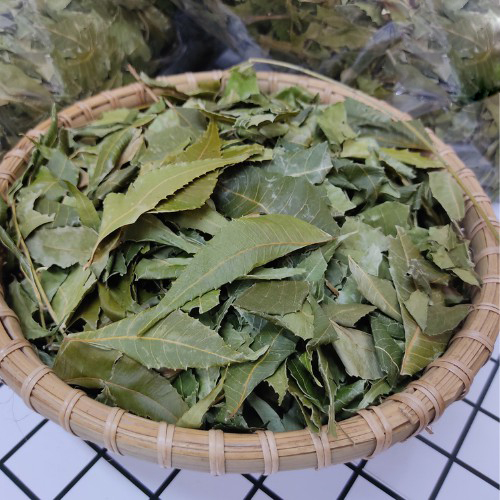 Tác dụng của lá neem sấy khô tại TP.HCM