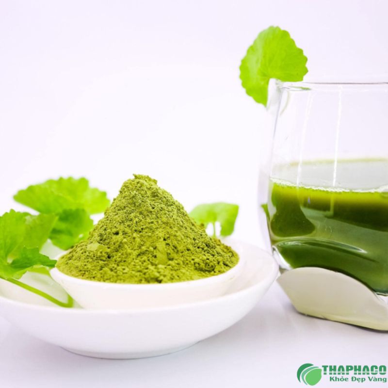 Bột rau má tại Tuyên Quang