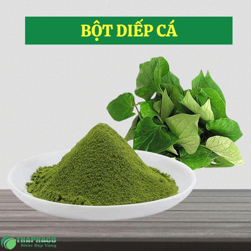 Bột diếp cá tại Lào Cai