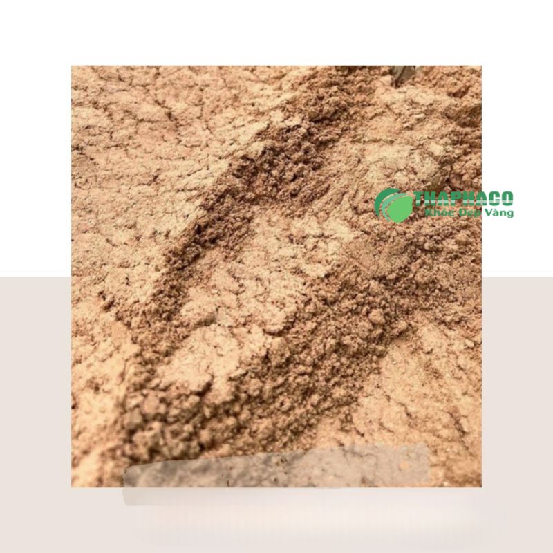 Bột lá đơn đỏ chữa mề đay