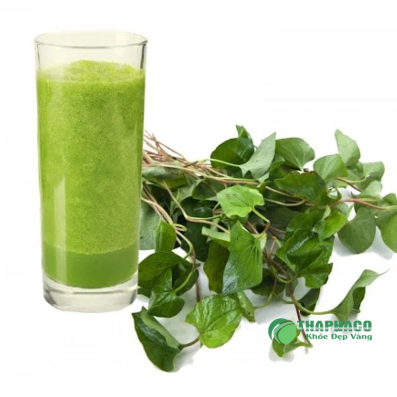 Pha nước bột diếp cá