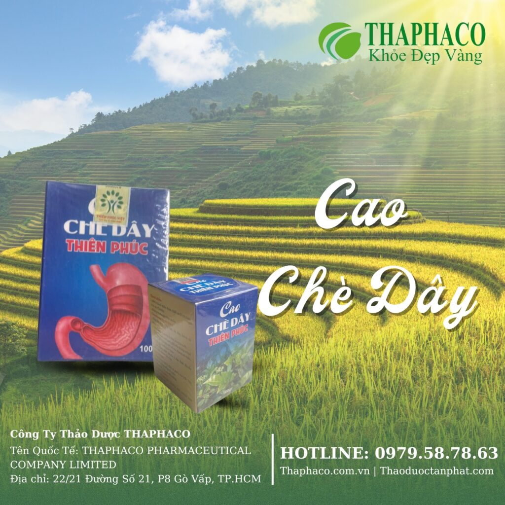 THAPHACO là địa chỉ bán cao chè dây tại TP.HCM uy tín