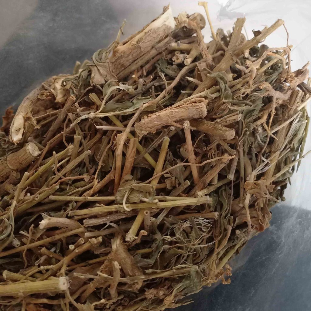 Tác dụng của dừa cạn tại TP.HCM