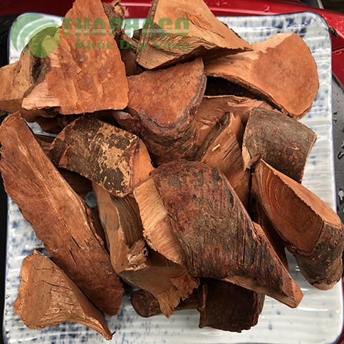 Rễ mú từn tăng cường sinh lý nam giới