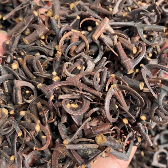 Bài thuốc trị bệnh từ câu đằng tại TP.HCM