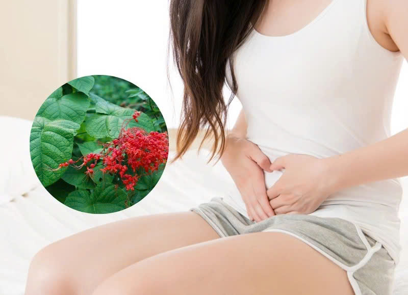 Công dụng của xích đồng nam tại TP.HCM
