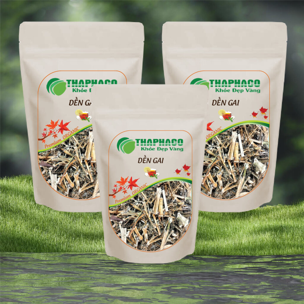 Địa Chỉ Bán Dền Gai Khô Tại TP.HCM