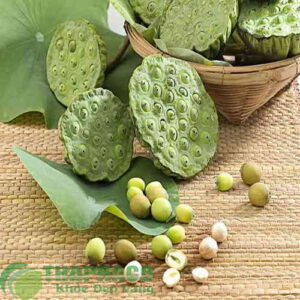 Hat Sen Rung 1️⃣Nơi bán hạt sen chất lượng cao tại TP.HCM uy tín giá tốt