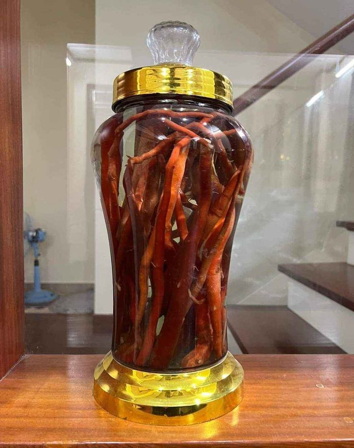 Rượu sâm cau đỏ nguyên chất tại TP.HCM