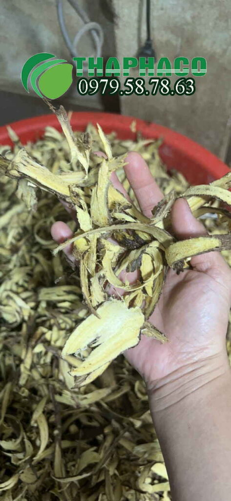 Cam thảo ngọt sấy khô đạt chuẩn 