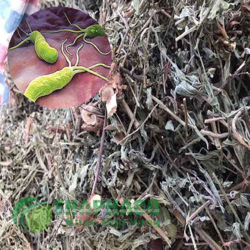 Cây rau mương sấy khô tại Tiền Giang