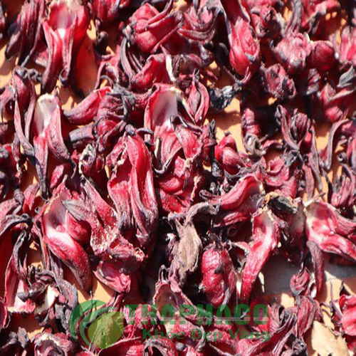 Hoa atiso đỏ sấy khô