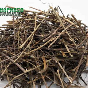 Bán sỉ Cà gai leo số lượng lớn - Có đầy đủ hóa đơn VAT & CO/CQ