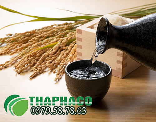 Rượu gạo nguyên chất tại THAPHACO