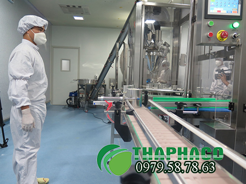 Nhà máy sản xuất bột hạt kế sữa tại THAPHACO 