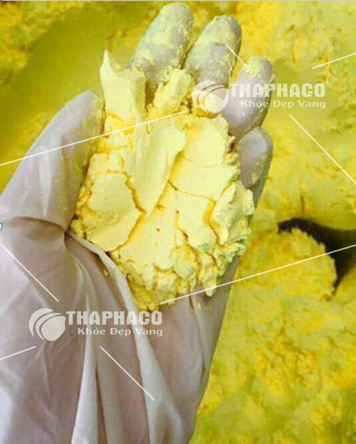 Bột nghệ vàng Việt Thắng siêu mịn
