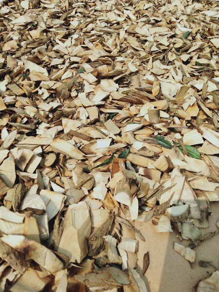 Lợi ích của ưng bất bạc tại TP.HCM