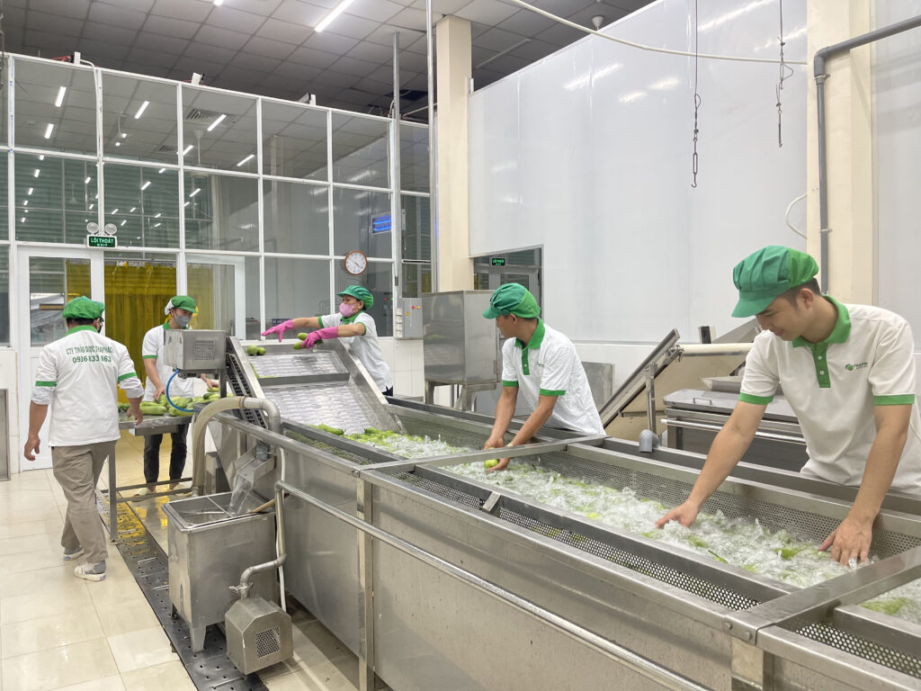 Giới thiệu chi tiết về THAPHACO