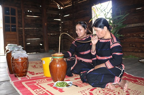 Cách uống rượu cần tây nguyên đúng chuẩn bản địa