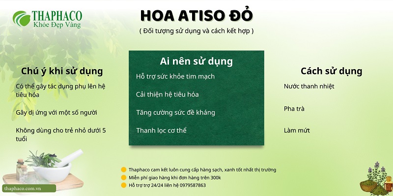 Lưu ý khi dùng hoa atiso đỏ tại HCM