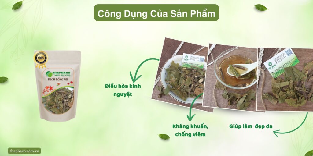 Công dụng của bạch đồng nữ tại TP.HCM