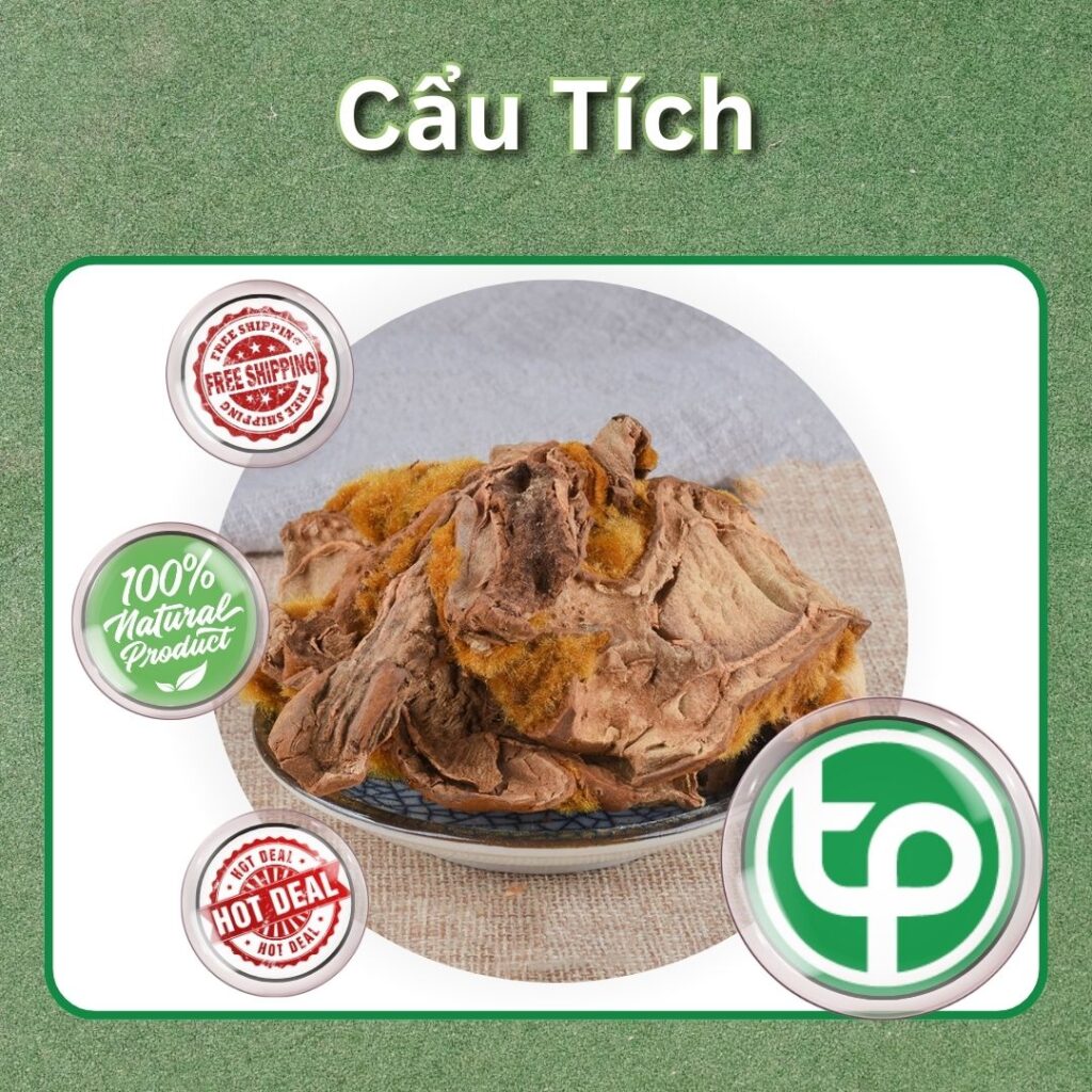 Cẩu tích tại TP.HCM