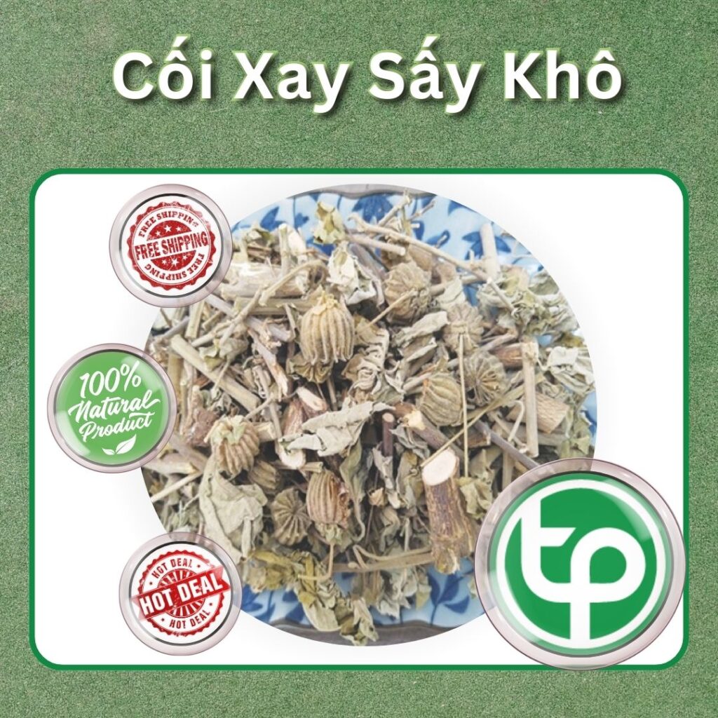 Cây cối xay tại TP.HCM