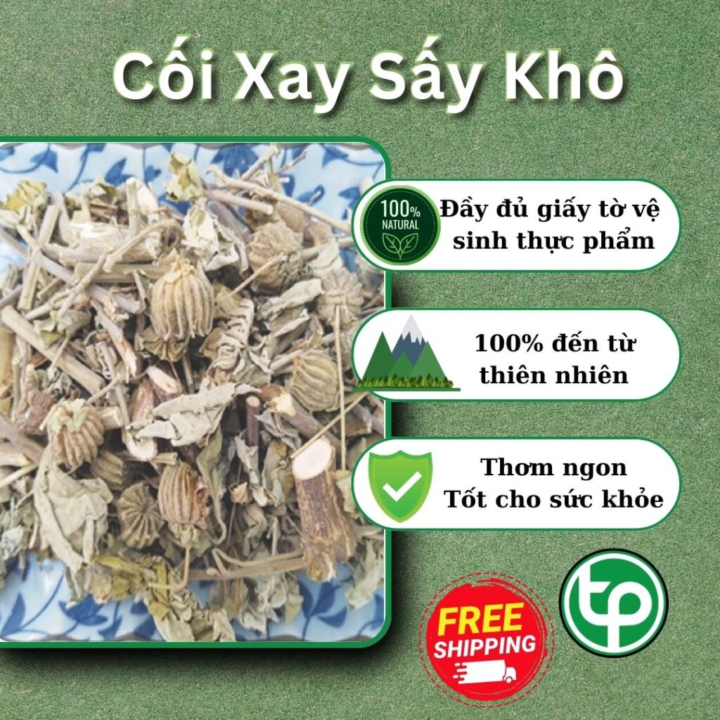 Mua cây cối xay tại TP.HCM ở đâu uy tín ?