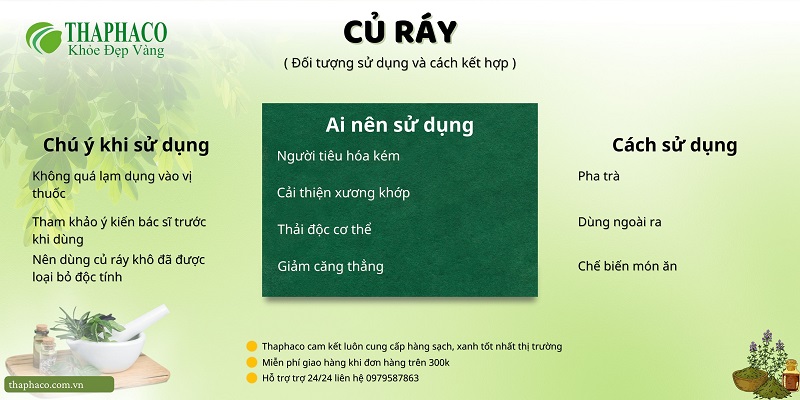 Củ ráy tại HCM THAPHACO (Tấn Phát Group)