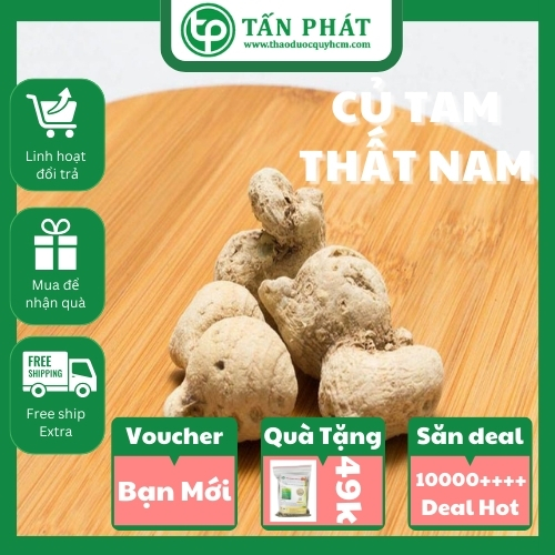 Mua củ tam thất nam tại TP.HCM ở đâu uy tín  ?