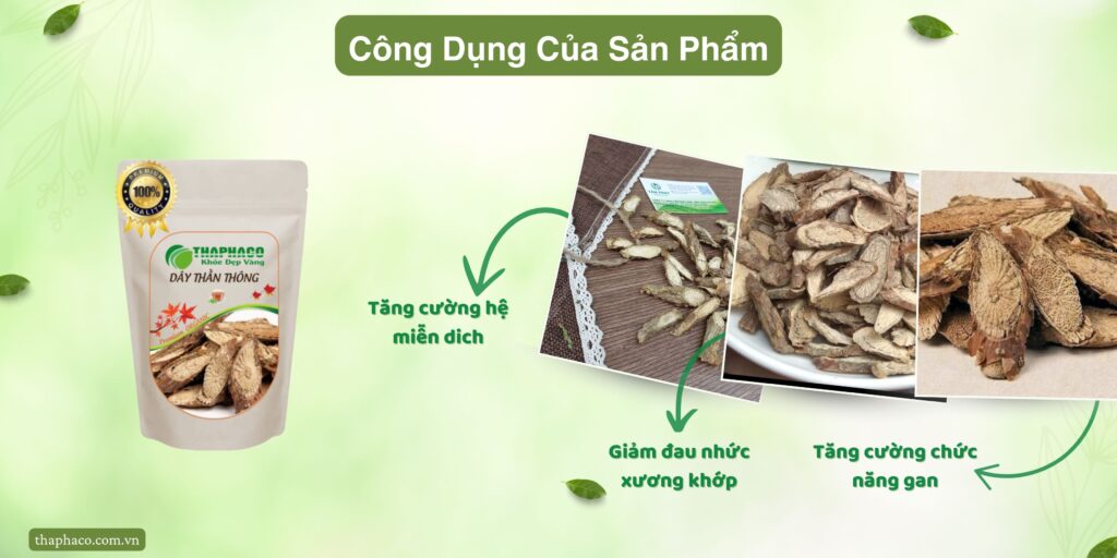 Công dụng của dây thần thông tại TP.HCM