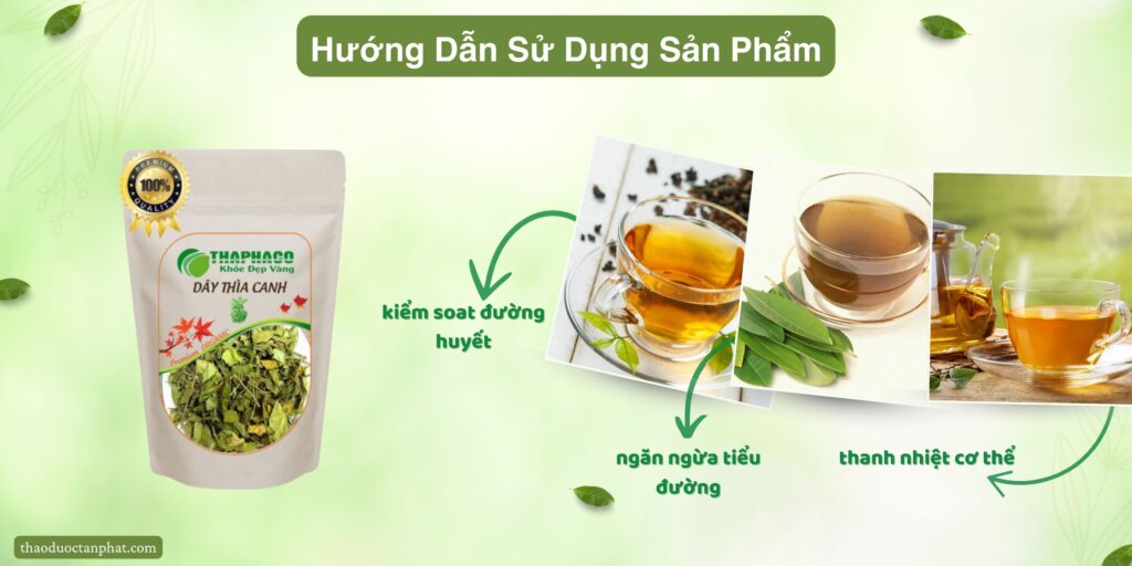 Cách sử dụng dây thìa canh tại TP.HCM