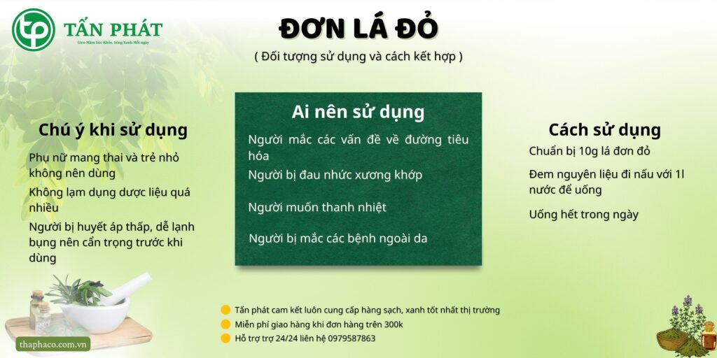 Lưu ý khi sử dụng lá đơn đỏ