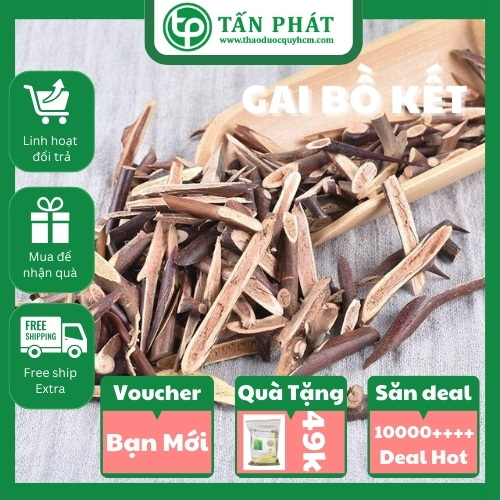 Mua gai bồ kết tại TP.HCM ở đâu uy tín ?