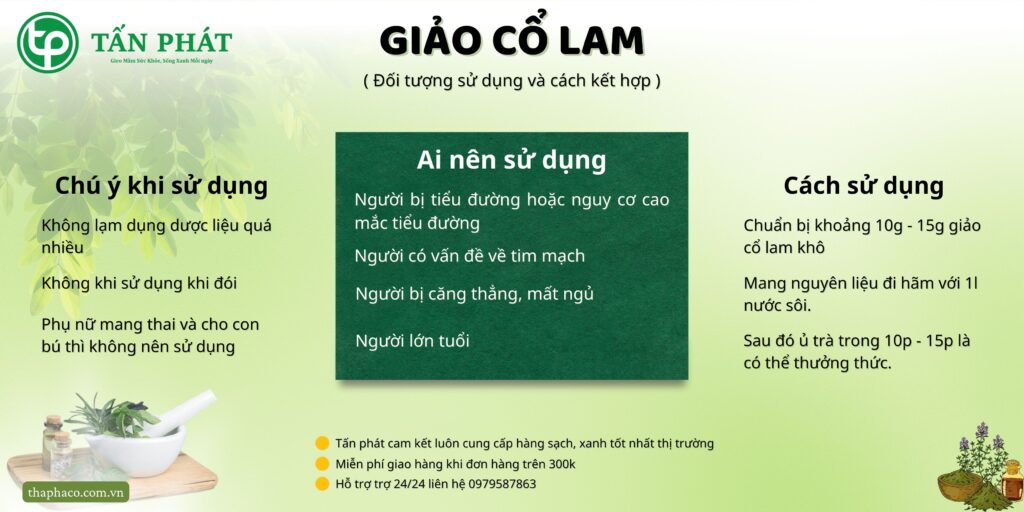 Hướng dẫn sử dụng giảo cổ lam tại TP.HCM